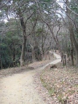 太宰府町道17