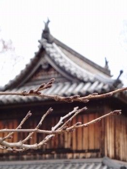 雪ポタ12