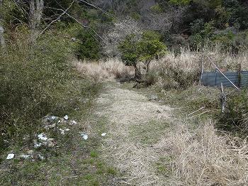 いぬなき峠 (15)