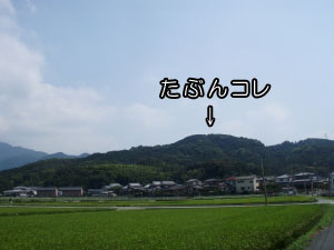 乙犬山全景