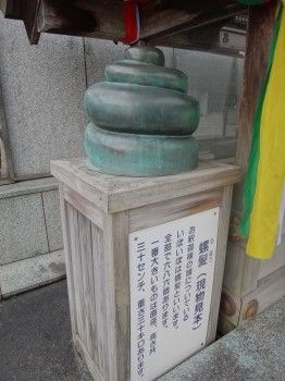 南蔵院らほつ