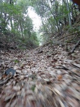太宰府町道32