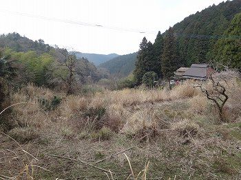 いぬなき峠 (13)