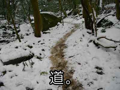 雪道2