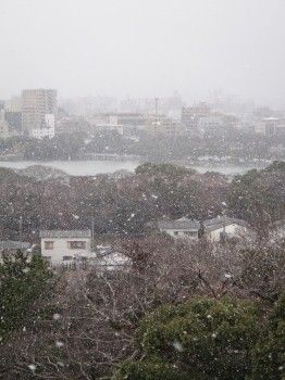 雪ポタ15