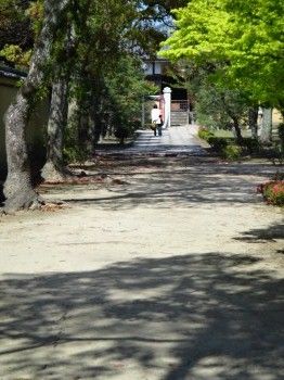崇福寺15