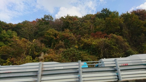 DSCPDC_0002_BURST20201120140328632_COVER