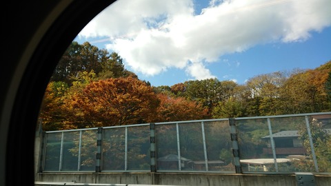 DSCPDC_0001_BURST20191028113047639_COVER