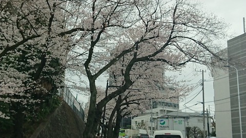 DSCPDC_0001_BURST20220327102757038_COVER