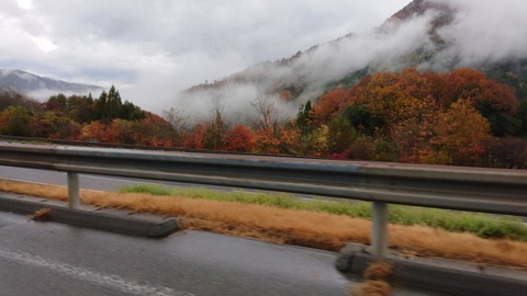 DSC_0000_BURST20211122105511756