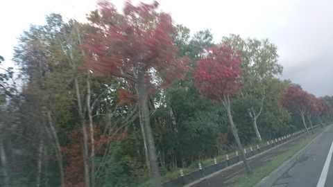 DSCPDC_0001_BURST20211023162721971_COVER