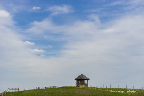 _DSC4320