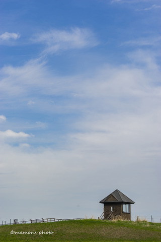 _DSC4321