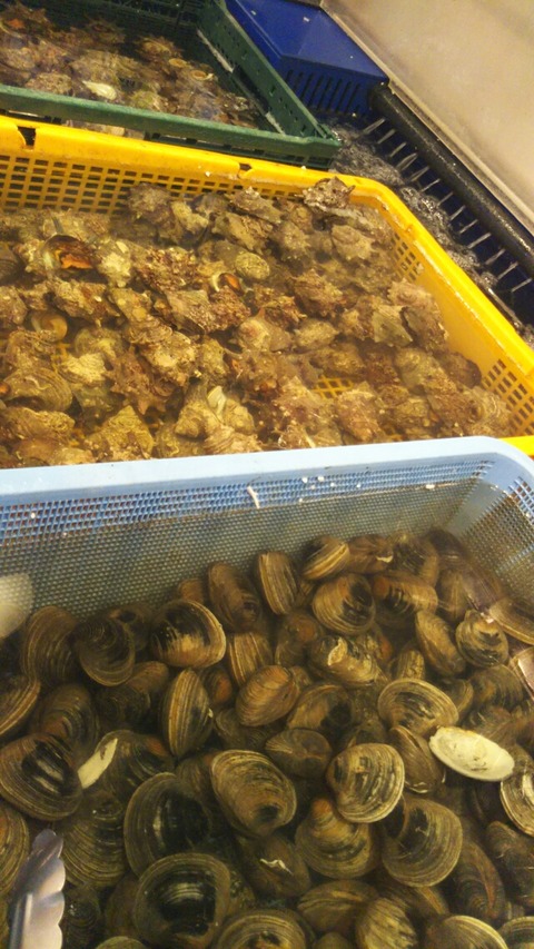 [画像:1ab6f153-s.jpg]