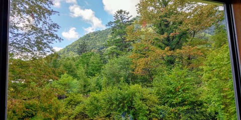 DSC_0244~2