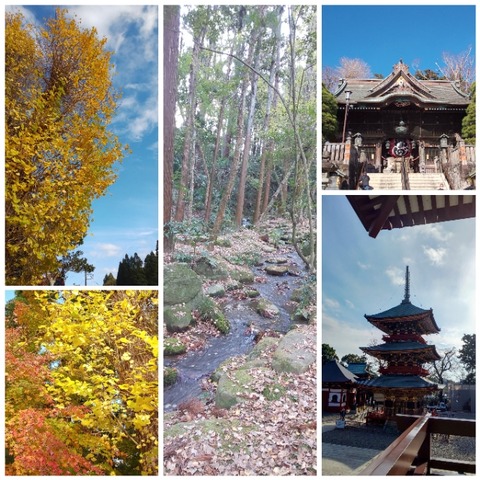 CollageMaker_20201203_190819799