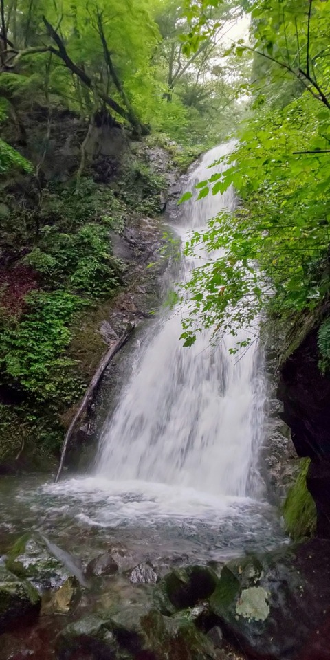 DSC_0158~2