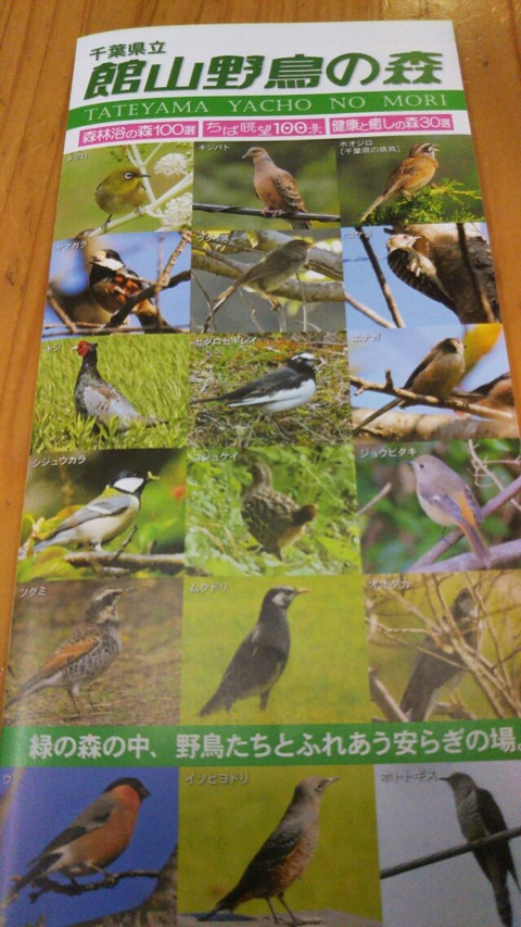 [画像:ab47051e-s.jpg]