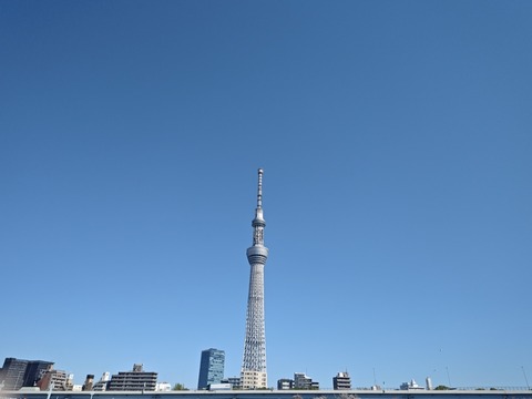 260408144623351