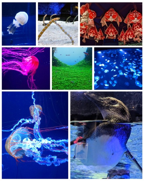 GridArt_20230509_101759467