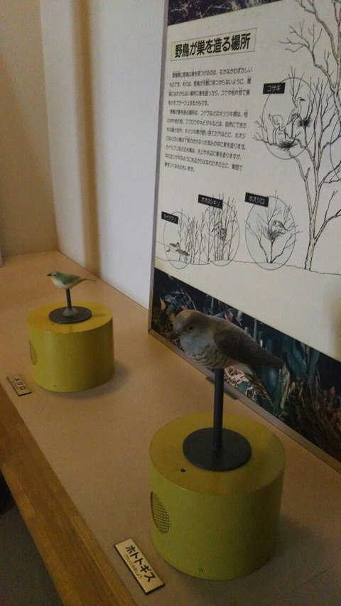 [画像:c5e86147-s.jpg]