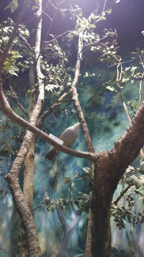 [画像:d3b13fe4-s.jpg]