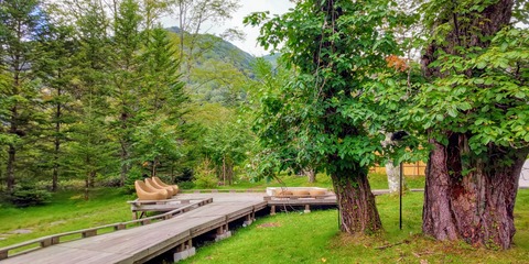 DSC_0210~3