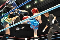 201306160294