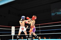 201306160692
