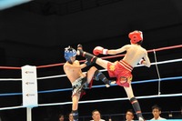 201306160738