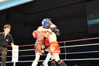 201306160611