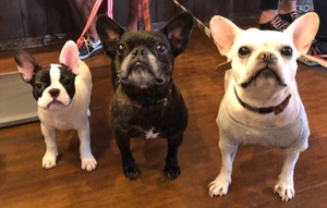 DAD17087-E80D-480B-B05E-39AF2ACB9EA2