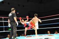 201306160965