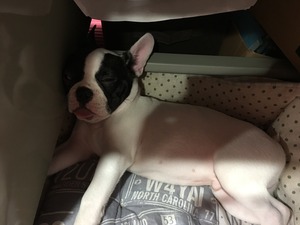 23CBADFE-E04E-48E2-848A-44FB88206F25