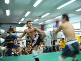 2006072304