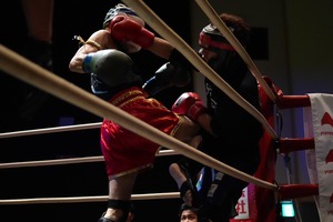 IMG_3308