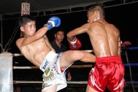 muaythai_120408muaythai-11-tora