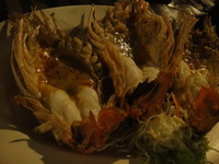DSC01154