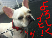 BlogPaint