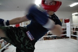 2007021113