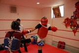 20080210006