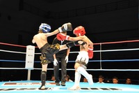 201306160384