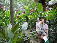 DSC01109