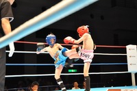 201306160441