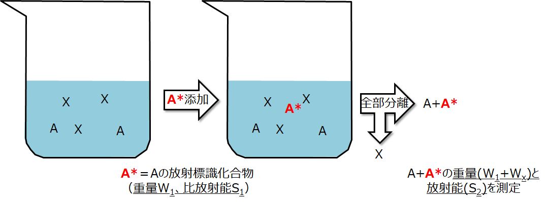 毎日を、ちょっと豊かにする情報を。放射線取扱主任者試験対策　同位体希釈分析（直接希釈・逆希釈・二重希釈・アイソトープ誘導体法）コメント                きんご