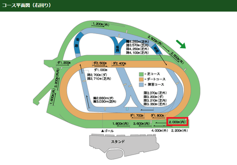 京成杯1