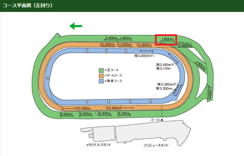 東京新聞杯1