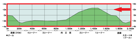 中山芝2000m