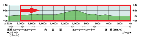 新潟記念2