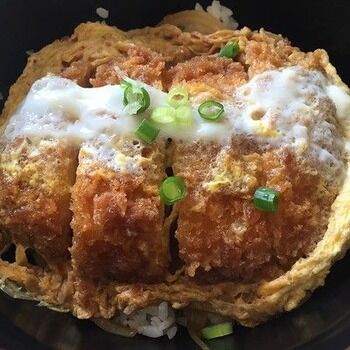 カツ丼食っただけで、胃が痛いわ目眩がするわ苦しいわでもう・・・